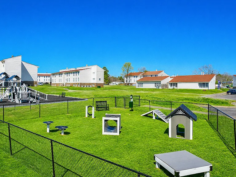 Community park with playground and agility course