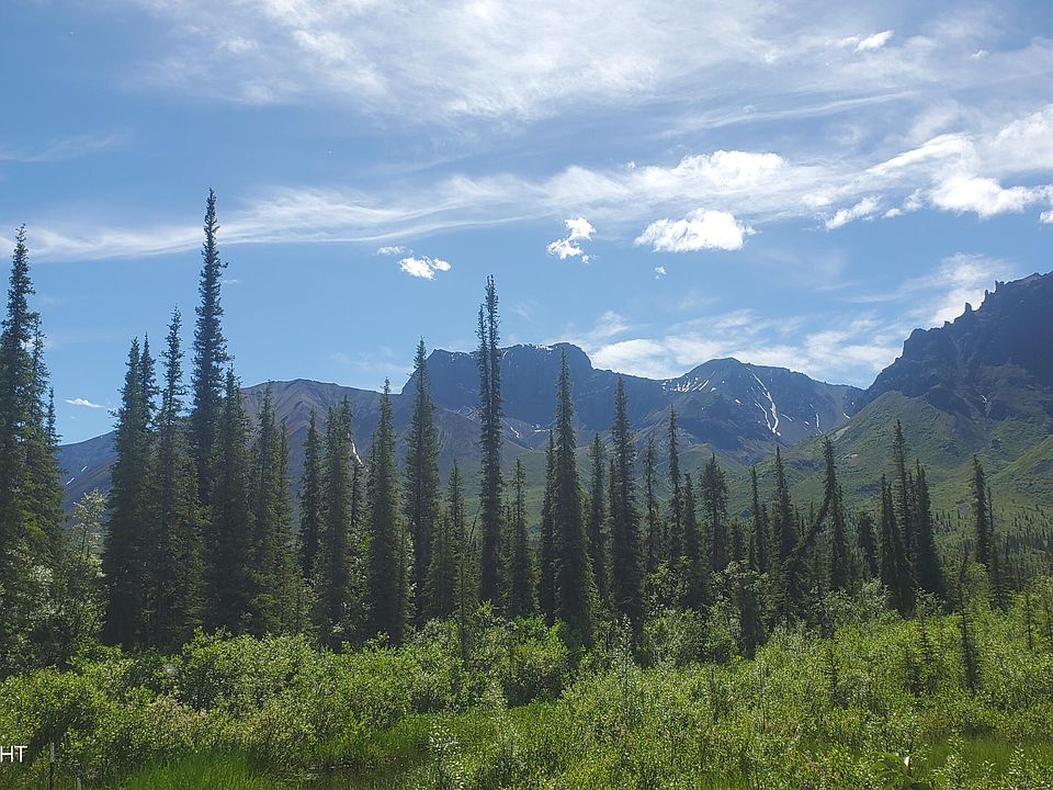 Mile 3 Nebesna Rd, Gakona, AK 99586 Zillow