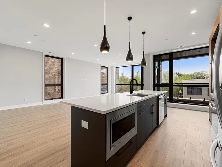 1718 S Halsted St #301 — Photo 8
