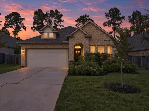 119 Winged Elm Ct, Willis, TX 77318