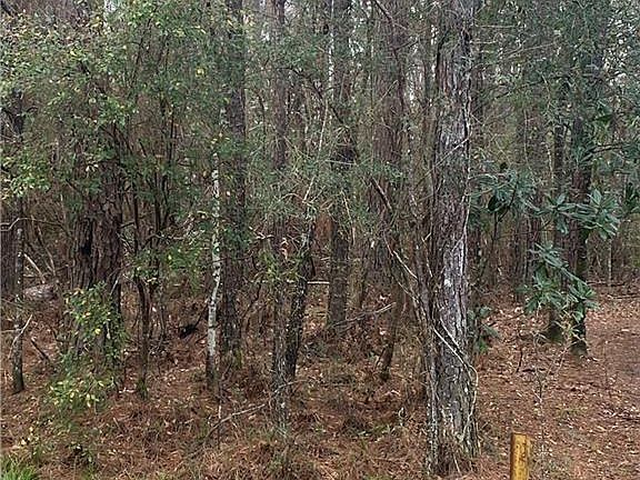 4th image of Park Ln