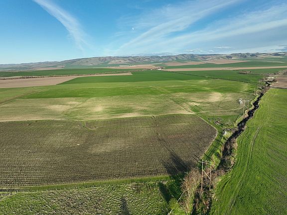 Umatilla-County-OR-208.00-Acres(4)