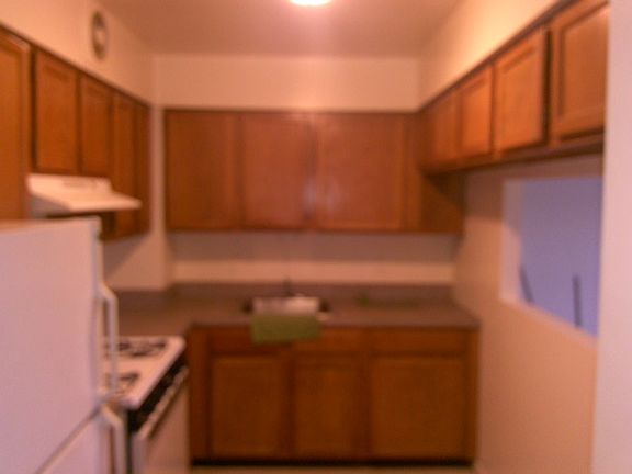 3rd image of 1102 Stebbins Ave #2