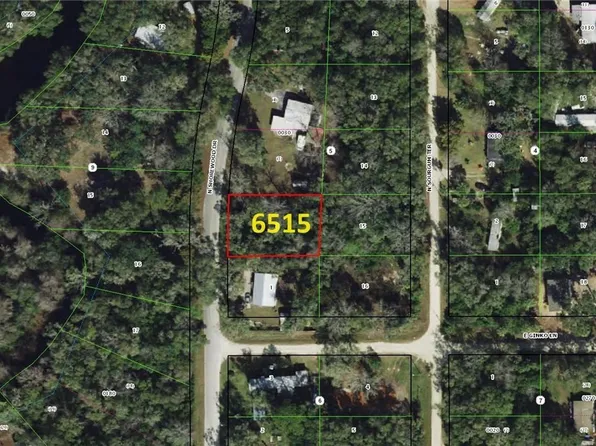 6515 N Shorewood Dr, Hernando, FL 34442