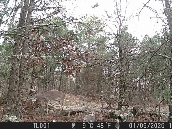 Sec33 To2n R21e Ktrail, Albion, OK 74521