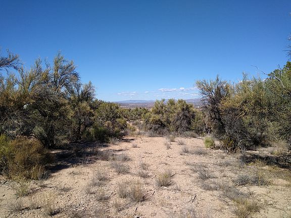 5th image of 3045 N Padre Kino Trl