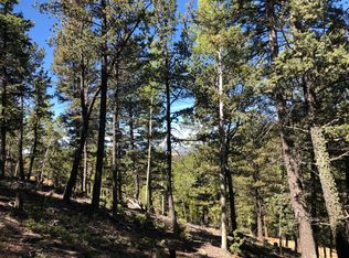 661 Homestead Rd, Divide, CO 80814