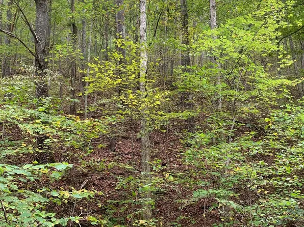 0 Crow Hollow Rd, Elkton, VA 22827