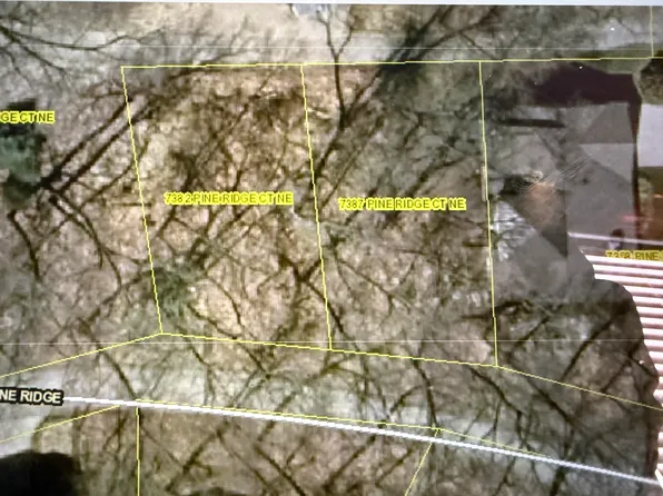 7382 Pine Ridge Ct NE #7387, Belding, MI 48809