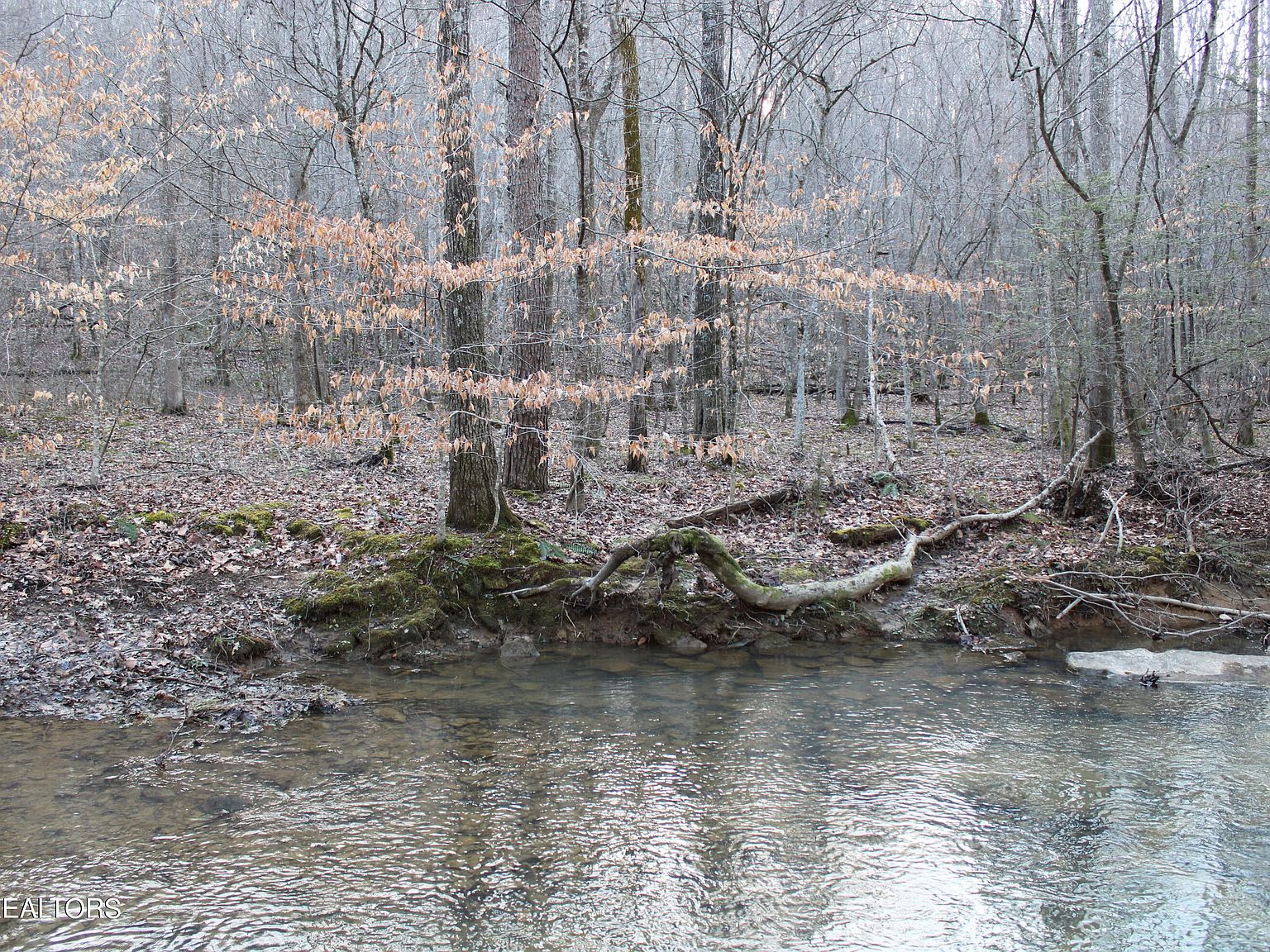 White Oak Circle Rd, Sunbright, TN 37872 | Zillow