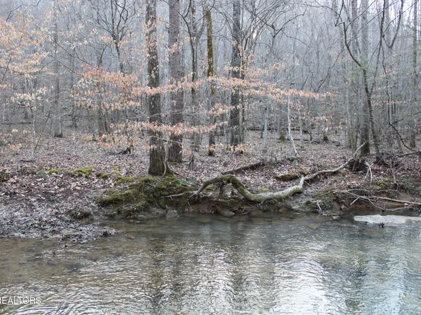 White Oak Circle Rd, Sunbright, TN 37872