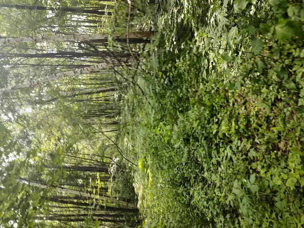 Estate Rd, Bruno, MN 55712