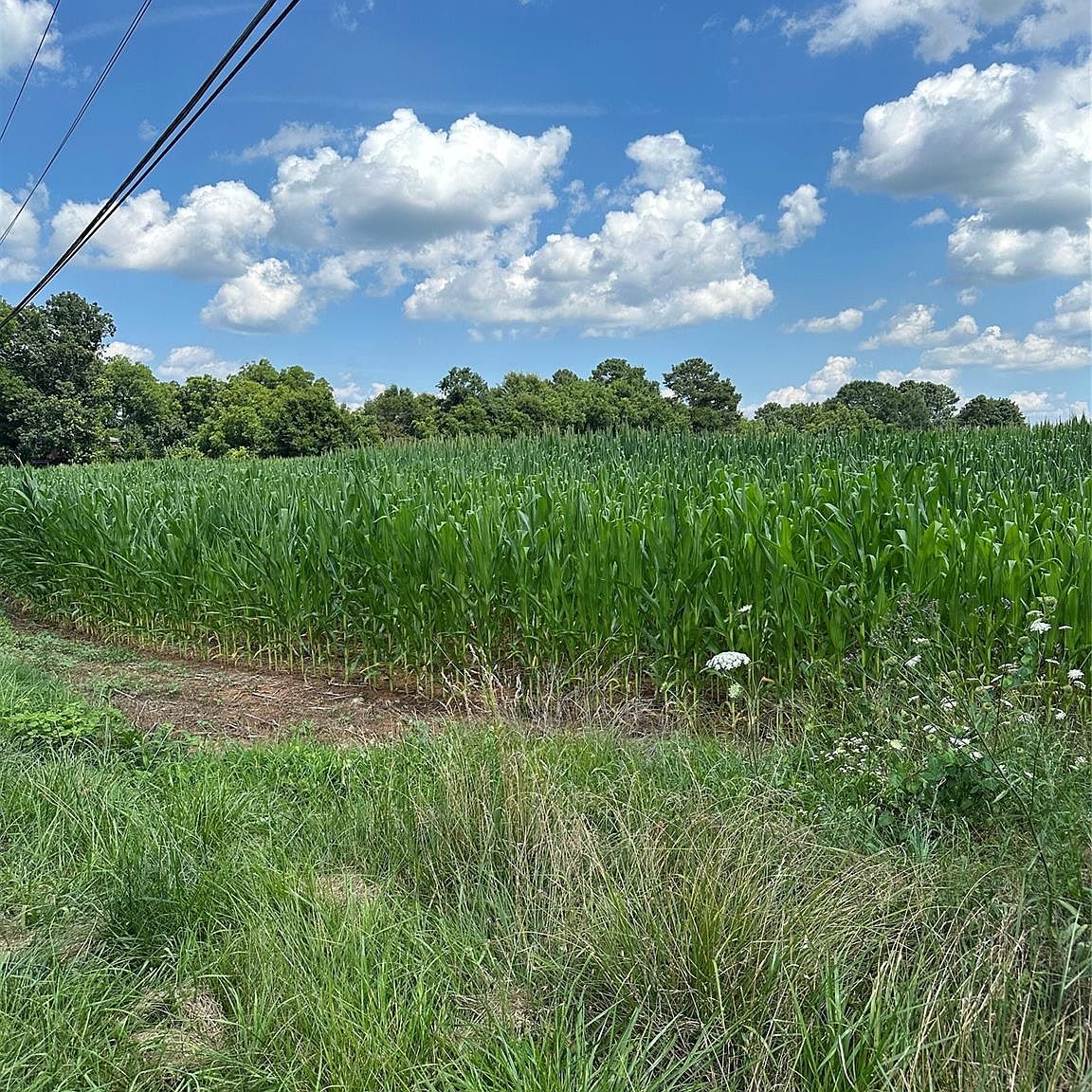 1515 W Stagecoach Trl, Lawndale, NC 28090 MLS 4046948 Zillow