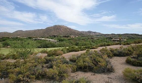 North Views