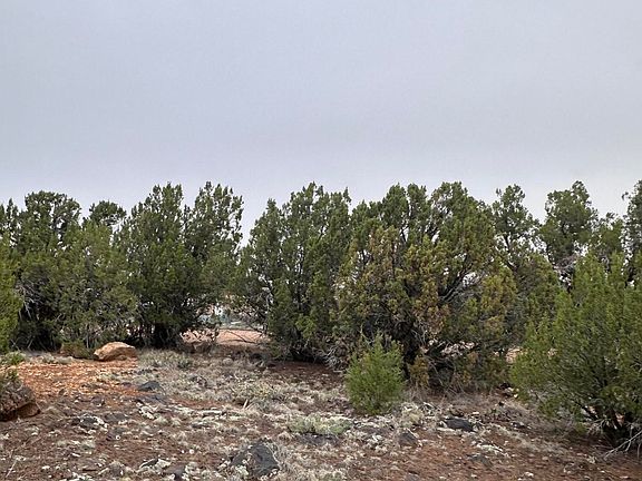 5th image of 8427 Cochise Cir