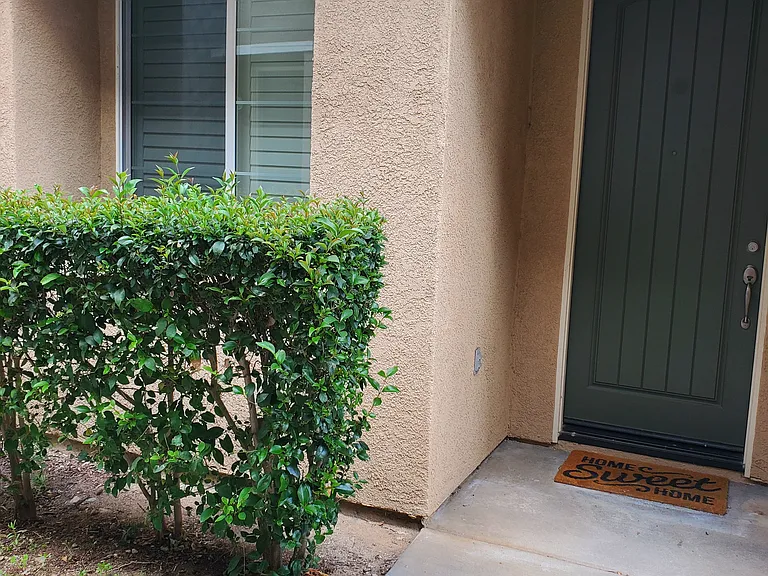 Front entrance door