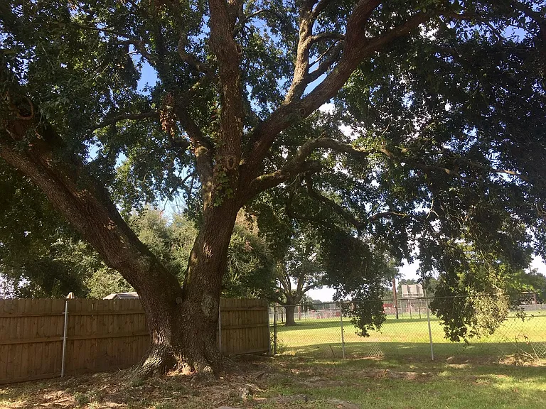 100 Merida Dr — Photo 13