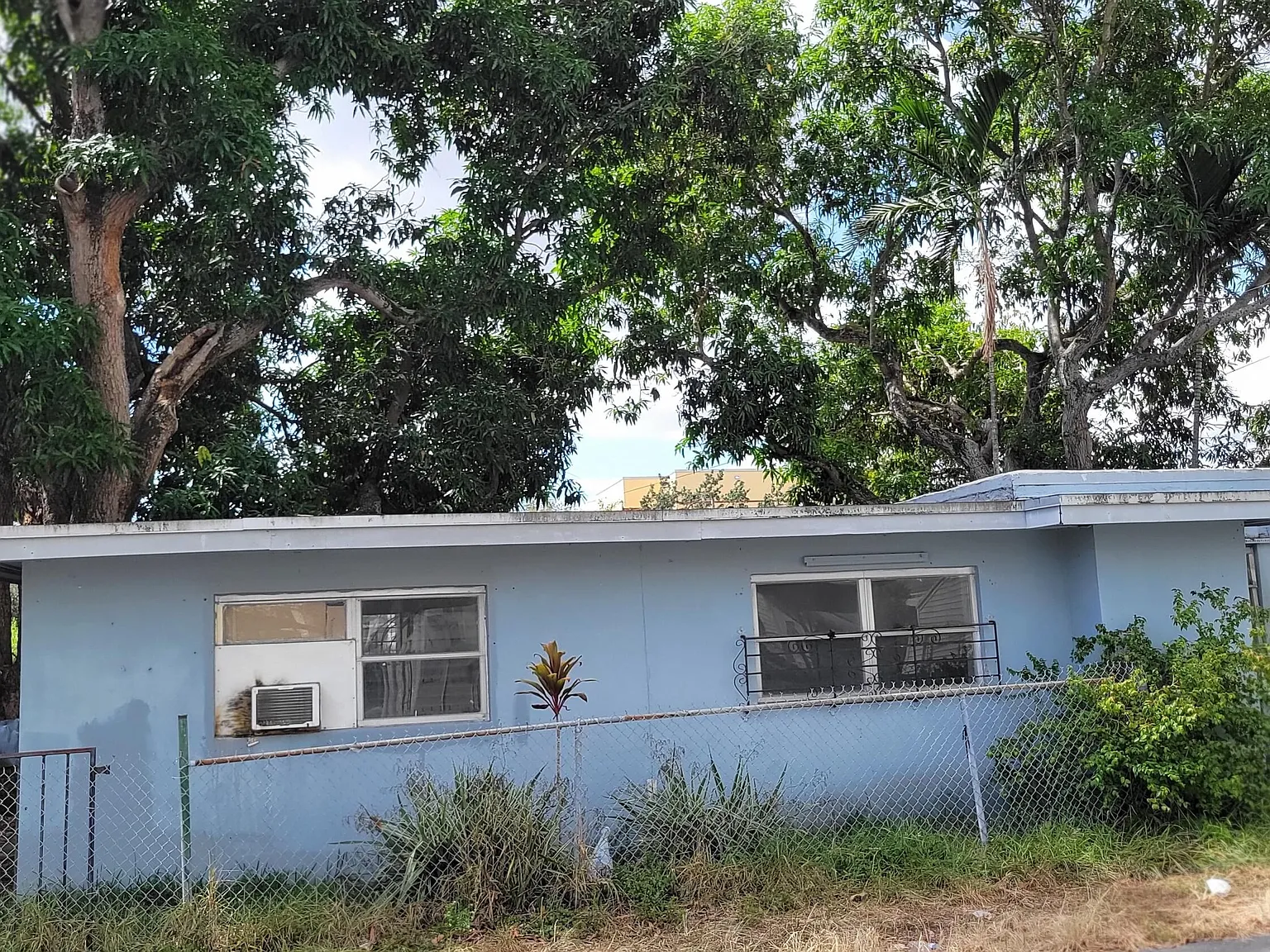 2 bed, 1.0 bath, 535 sqft, $1,900 — Photo 2