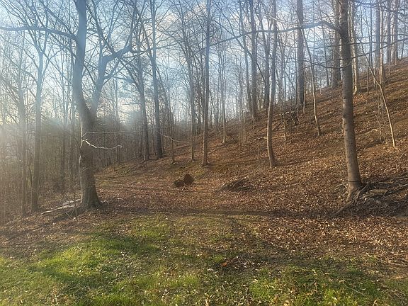 2nd image of 1203 Broadbottom Rd