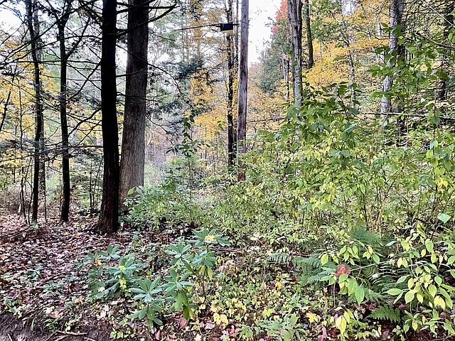 7th image of 18 Nixon Rd