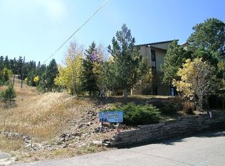 31270 John Wallace Rd APT 303, Evergreen, CO 80439