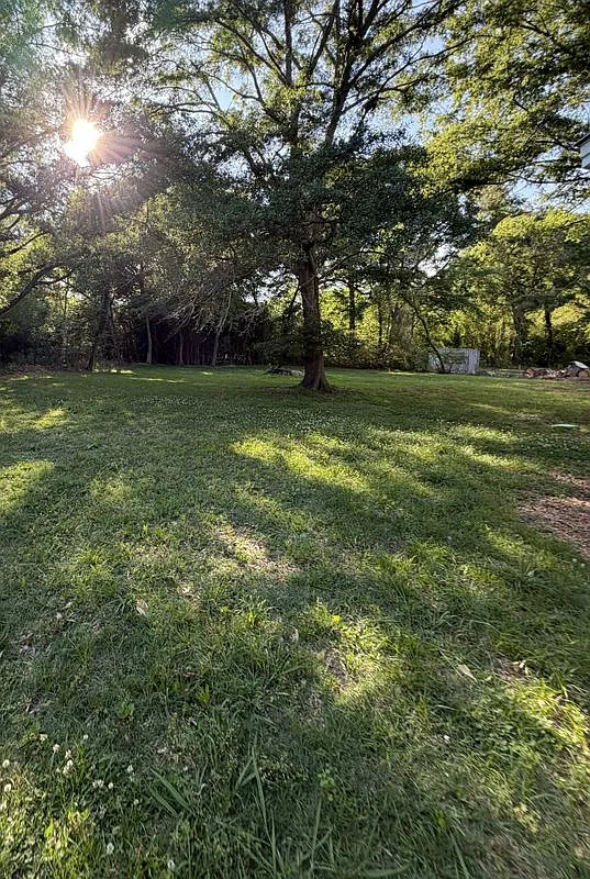 3 bed, 1.0 bath, 1470 sqft, $1,200 — Photo 3