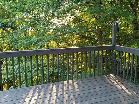 Summertime treetop living at daybreak.