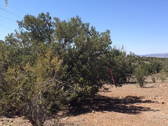 4th image of 1830 W Escondido Trl