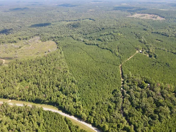 0 Walker Springs Rd Tract C, Jackson, AL 36545