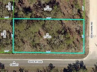14463 Duck Hawk Rd, Weeki Wachee, FL 34614