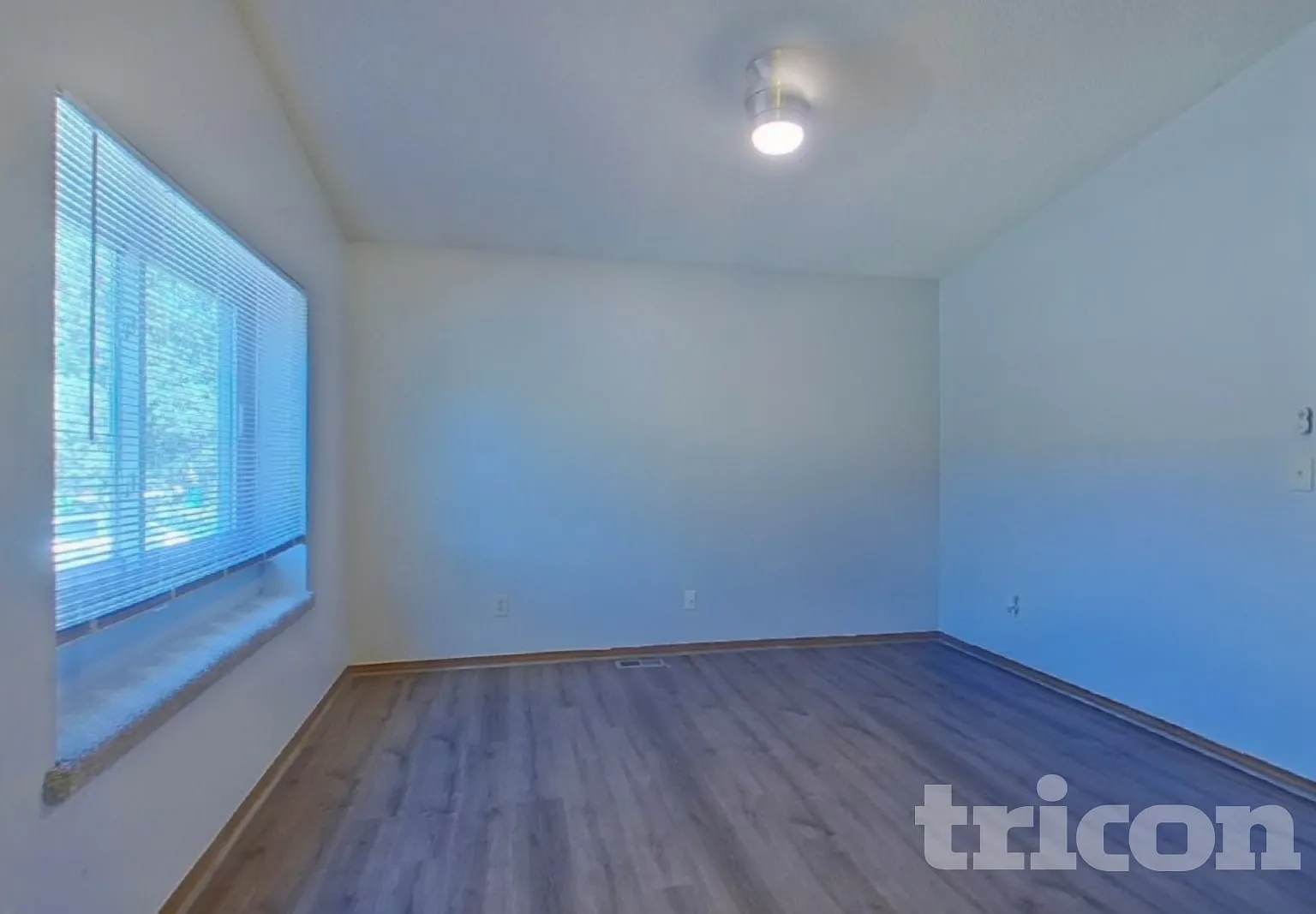 5545 Alma Terrace Colorado Springs CO — Photo 4