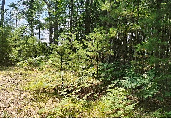 4th image of Sandhill Crane Way SE