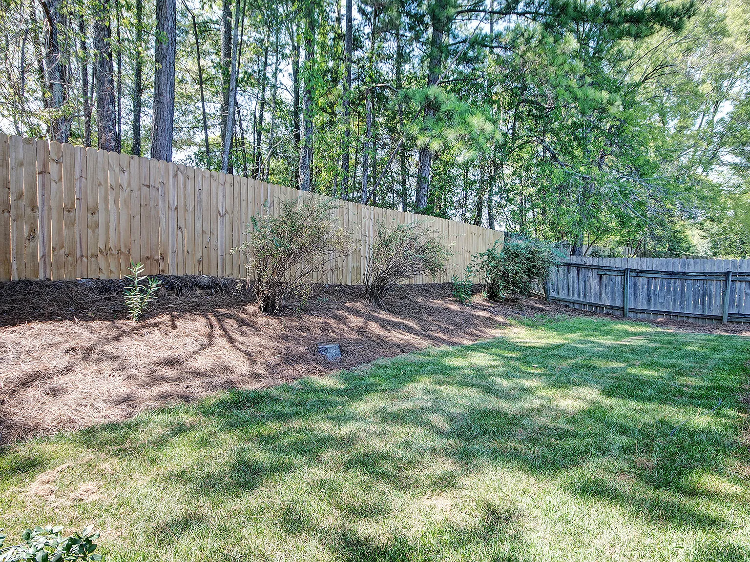 2 bed, 1688 sqft, $3,900 — Photo 4