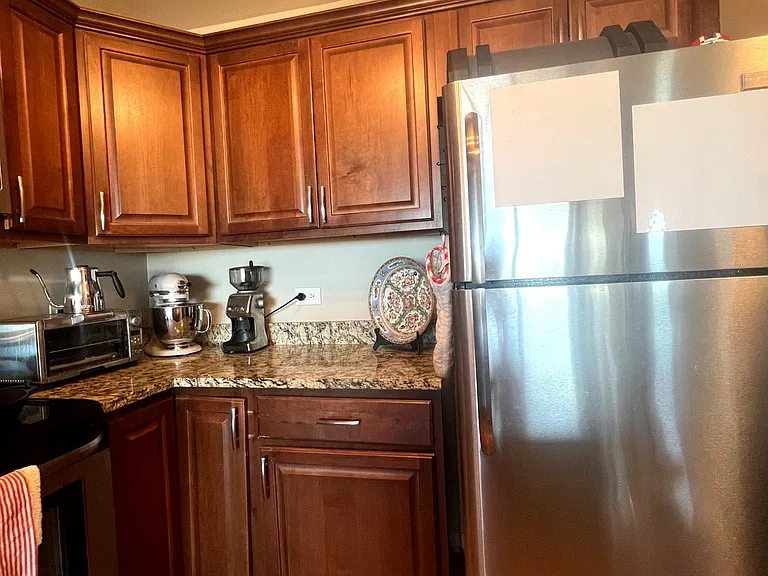 1636 N Wells St #3106 — Photo 4