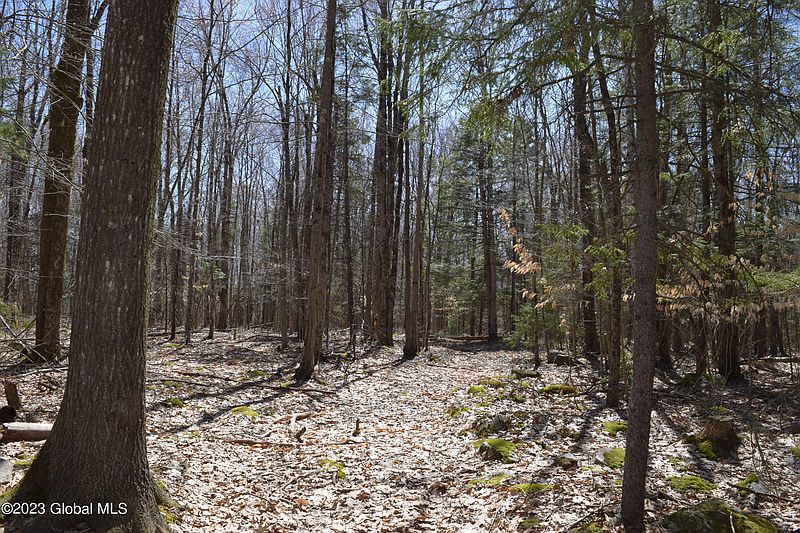 4th image of L5.2 Babcock Lake Road