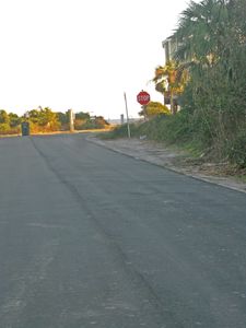 2923 Brownell Ave, Sullivans Island, SC, 29482