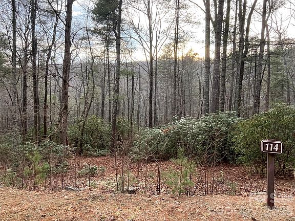 4th image of 114 Huckleberry Ridge Ln
