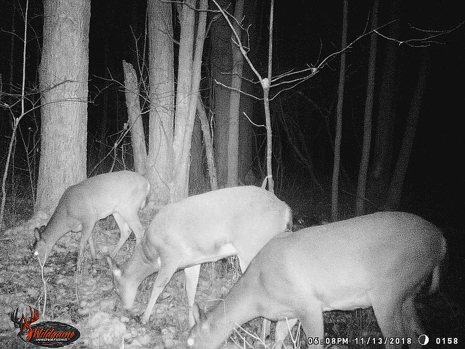 2nd image of W Sutton Rd