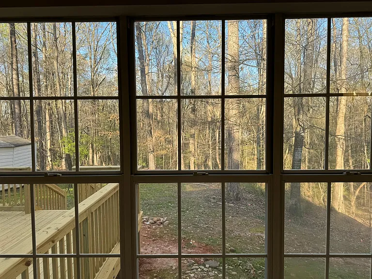 View out the primary bedroom