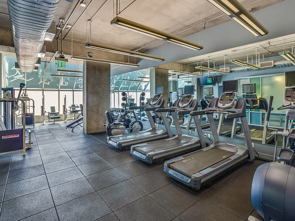 State-of-the-art fitness equipment