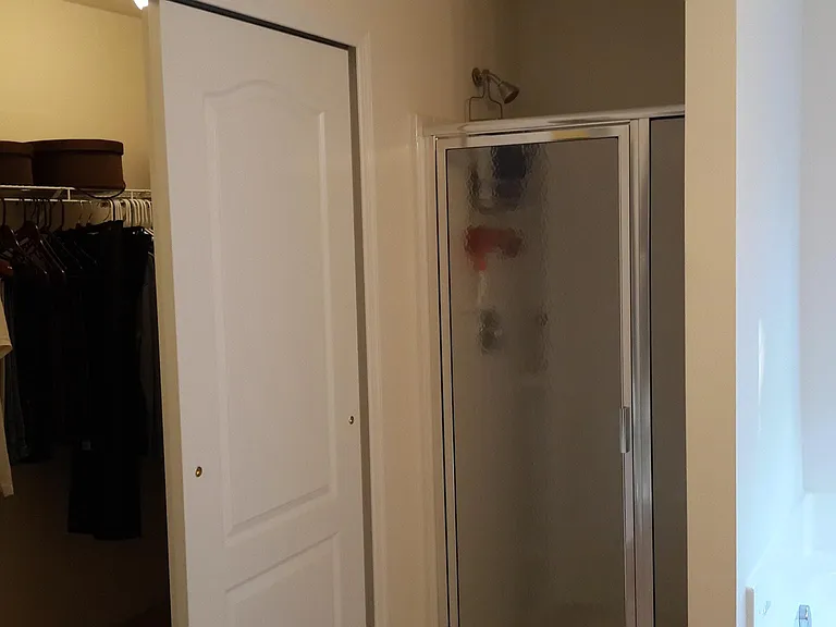 Master bathroom shower and walk-in closet
