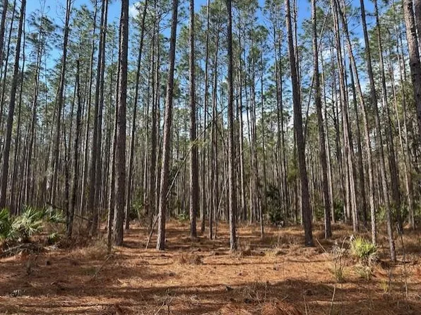 US Hwy 129, Bell, FL 32619