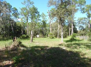 28655 Lindenhurst Dr #10, Wesley Chapel, FL 33544
