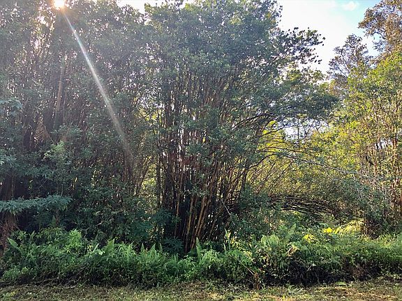 3rd image of Napua St Lot 7