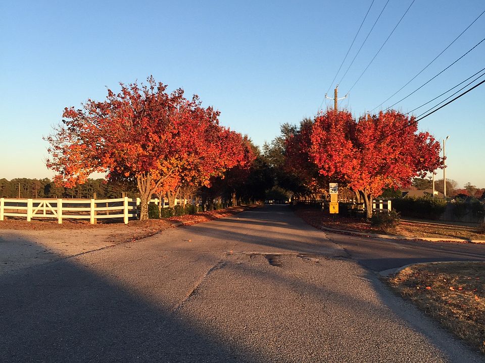Entrance to the subdivision 