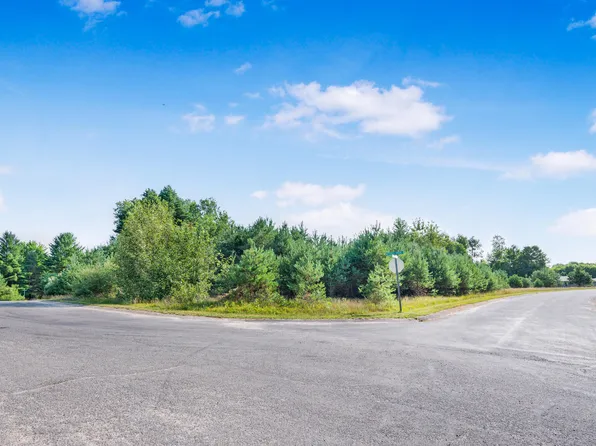 LOT 16568 29 Mitchell Creek Trl, Big Rapids, MI 49307
