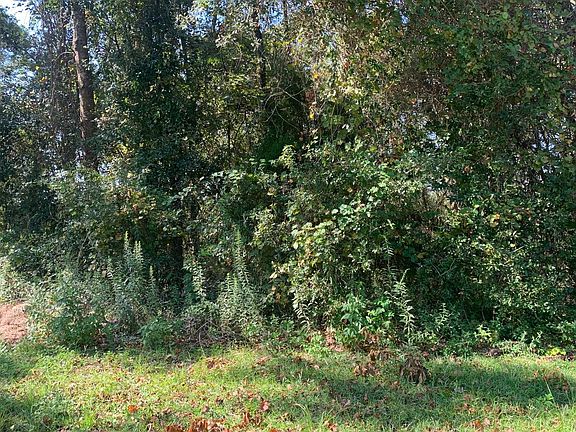 4th image of 368 SW Woodleaf Ct