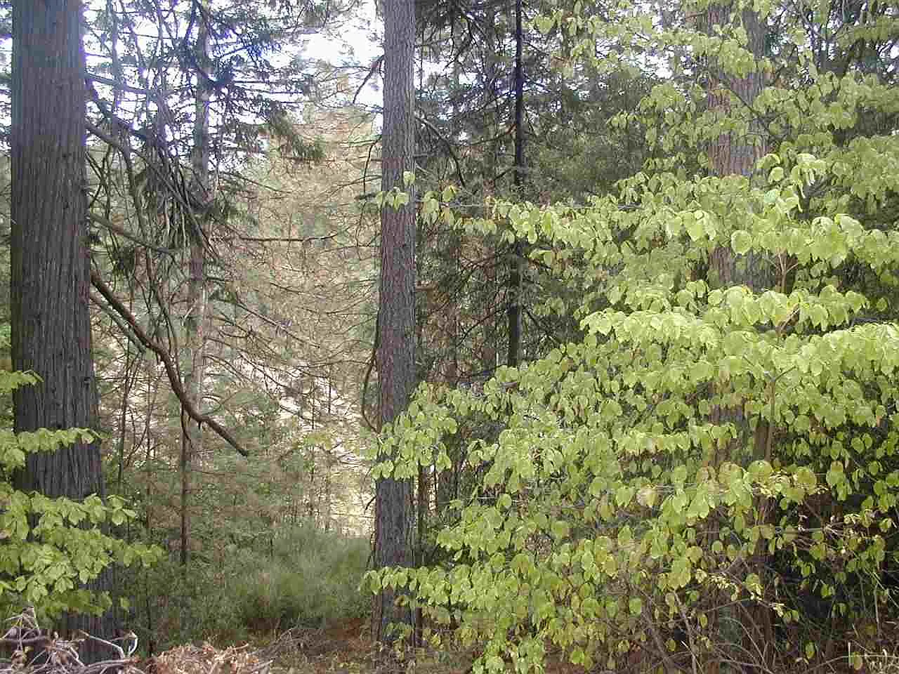 979 Golf Links Dr photo 1