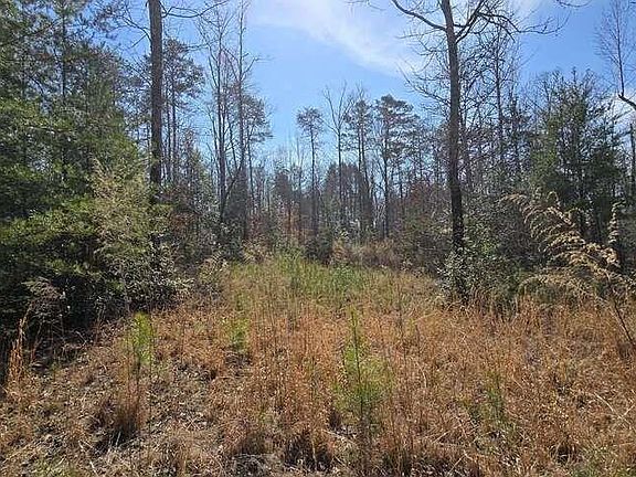 3rd image of 0 Hamilton Rd