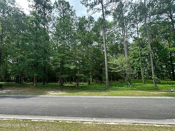 5th image of 201 Lockhaven Dr SE Lot 233